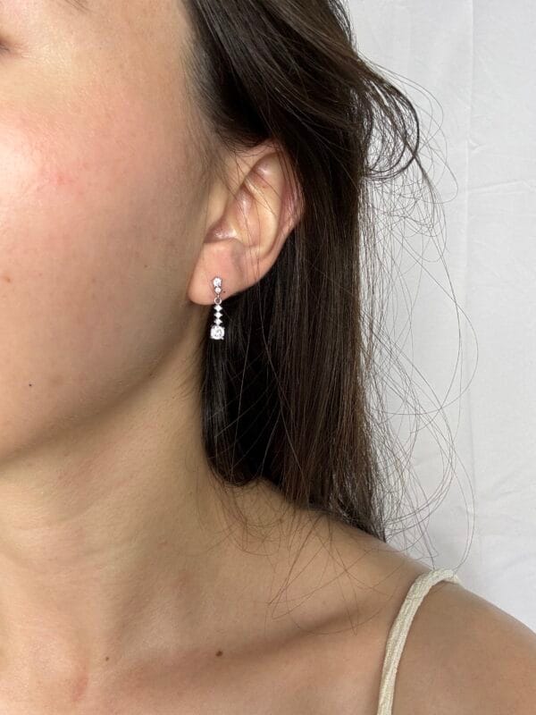 IMG_0138 Aretes Gardenia