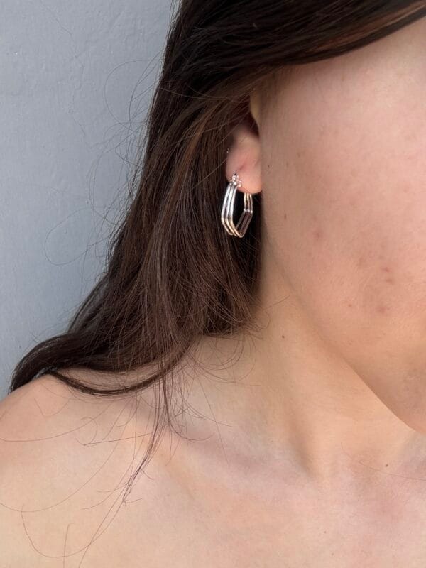 IMG_0591 Arracadas Abelia