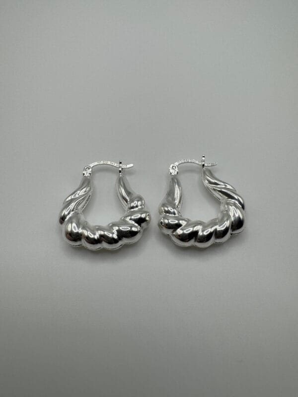 img_1784 Arracadas cuernito