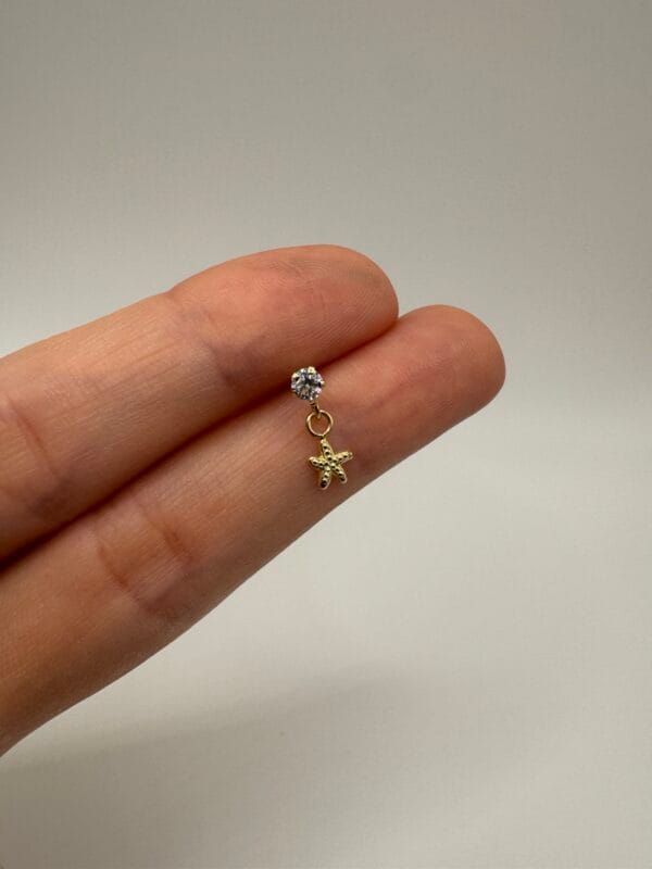 Estrella de Mar colgante