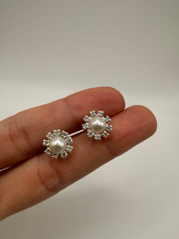 img_3232 Broquel Gerbera